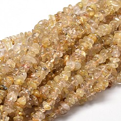Rutilated Quartz Natural Rutilated Quartz Chip Beads Strands, 5~14x4~10mm, Hole: 1mm, about 15.5 inch~16.1 inch