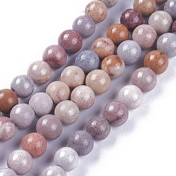 Fossil Coral Natural Fossil Coral Beads Strands, Dyed, Round, 6mm, Hole: 1mm, about 65pcs/strand, 13.5 inch~13.8 inch(34.5~35cm)
