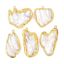 Золотой Гальваника натуральный жемчуг барокко кеши жемчуг большие подвески, культивированный пресноводный жемчуг, с латунной фурнитурой , самородки, золотые, 33~46x22.5~30x7~11 мм, отверстие : 1.8 мм