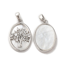 Platinum Brass Shell Pendants, with Cubic Zirconia, Oval with Tree of Life Pattern, Platinum, 21.5x14x3mm, Hole: 3.4x2mm