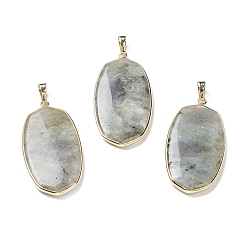 Labradorite Natural Labradorite Pendants, with Rack Plating Light Gold Tone Brass Findings, Cadmium Free & Lead Free, Oval Charms, 48x22x4.5mm, Hole: 8x5mm