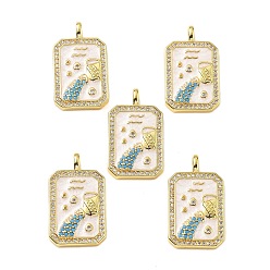Водолей Подвески из латуни микропаве с фианитами и эмалью, созвездие с прямоугольником, стойки покрытие, долговечный, без свинца и без кадмия, реальный 18 k позолоченный, Водолей, 25x14.5x4 мм, отверстие : 3.5x2.5 мм