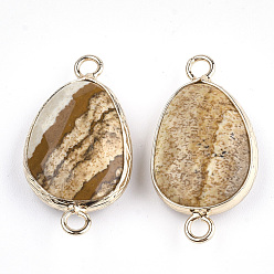 Picture Jasper Natural Picture Jasper Links connectors, with Brass Findings, Nickel Free, Faceted, teardrop, Golden, 27.5x14.5~15x6~6.5mm, Hole: 2mm