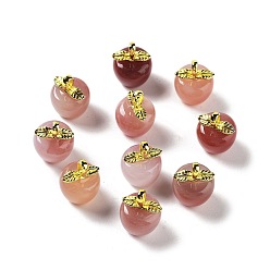 Apple Natural Agate Pendants, Fruit Charms, Golden, Apple, 16~16.5x12x12mm, Hole: 4x2.3mm