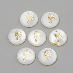 Кремово-белый Подвески из пресноводных оболочек, плоское круглое и кокосовое дерево, золотые, 16x3.5~4 мм, отверстие : 1.2 мм