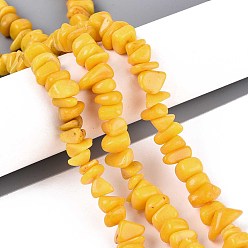 Золотистый Окрашенные натуральные желтые нефритовые бусинки, чип, золотые, 6~22x6~22x2~11 мм, отверстие : 0.8~1 мм, около 120~135 шт / нитка, 30.31~31.89 дюйм (77~81 см)