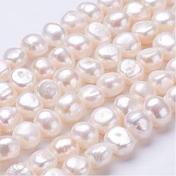 Seashell Color Natural Cultured Freshwater Pearl Beads Strands, Nuggets, Seashell Color, 10x9~10x7~9mm, Hole: 0.5mm, about 36pcs/strand, 13.5 inch