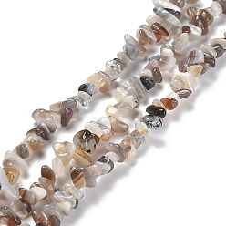 Botswana Agate Natural Botswana Agate Beads Strands, Chip, 5~15x5.5~6x2.5~4mm, Hole: 0.7mm, 30.31''~30.71''(77~78cm)