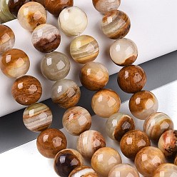 Деревянный Кружевный Камень Натуральное дерево каменным кружевом бисер нитей, круглые, 12~12.5 мм, отверстие : 1.2 мм, около 33 шт / нитка, 15.55'' (39.5 см)