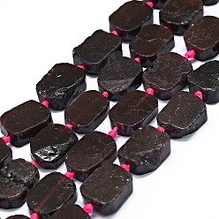 Garnet Natural Garnet Beads Strands, Rectangle, 14~17x11~13x5~6mm, Hole: 1mm, about 21~23pcs/strand, 15.75~16.14 inch(40~41cm)