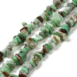 Chrysoprase Brins naturels de perles de chrysoprase, puce, 7~18x7~9.5x2~6.5mm, Trou: 0.9mm, 15.55~15.75 pouce (39.5~40 cm)
