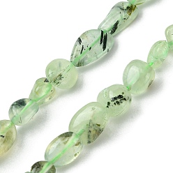 Prehnite Natural Prehnite Beads Strands, Nuggets Shape, Tumbled Stone, 6x8mm, Hole: 1mm, about 59pcs/strand, 15.55''(39.5cm)
