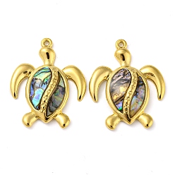 Paua Shell Natural Paua Shell Pendants, Sea Turtle Charms with Ion Plating(IP) 304 Stainless Steel Findings, Real 18K Gold Plated, 30x24x3.5mm, Hole: 1.4mm