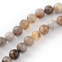 Bamboo Leaf Agate Natural Bamboo Leaf Agate Round Bead Strands, 6mm, Hole: 1mm, about 62pcs/strand, 15.5 inch