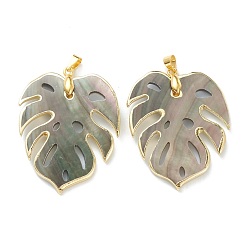 Black Lip Shell Natural Black Lip Shell Pendants, with Golden Plated Brass Findings, Leaf, 42x32x1.8mm, Hole: 4x3.5mm