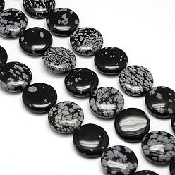 Snowflake Obsidian Natural Flat Round Snowflake Obsidian Beads Strands, 20x7~9mm, Hole: 1mm, about 20pcs/strand, 15.74 inch