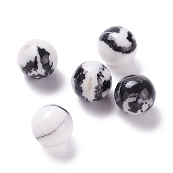Jaspe Zébré Perles de jaspe zébrées naturel, pas de trous / non percés, pour création de fil enroulé pendentif , ronde, 20mm