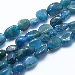 Apatite Natural Apatite Beads Strands, Tumbled Stone, Grade A, Nuggets, 6~8mm, Hole: 0.8mm, about 45~47pcs/strand, 15.7 inch(40cm)