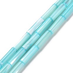 Голубой Природные trochid стеклянные бусы нити, окрашенные, колонка, голубой, 11.5~14x4 мм, отверстие : 0.6 мм, около 28~29 шт / нитка, 15.55~15.67 дюйм (39.5~39.8 см)