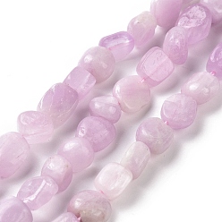 Kunzite Kunzite naturelles brins de perles, nuggets, 8~12.5x6.5~9.5x5~6.5mm, Trou: 0.8mm, Environ 45 pcs/chapelet, 15.94'' (40.5 cm)