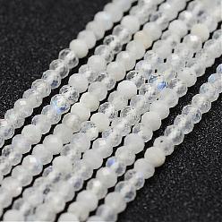 Rainbow Moonstone Natural Rainbow Moonstone Quartz Bead Strands, Round, Faceted, 3mm, Hole: 0.5mm, about 160pcs/strand, 15.5 inch(39.5cm)