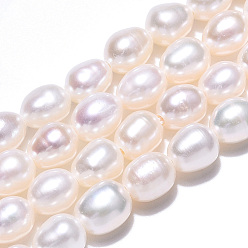 Seashell Color Natural Cultured Freshwater Pearl Beads Strands, Rice, Seashell Color, 6~7x5~5.5mm, Hole: 0.7~0.8mm, about 28~29pcs/strand, 7.09 inch(18cm)
