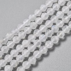 Rainbow Moonstone Natural Rainbow Moonstone Beads Strands, Faceted, Round, 4mm, Hole: 0.7mm, about 95pcs/strand, 15.35 inch(39cm)