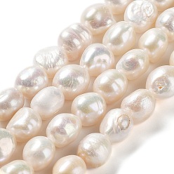 Seashell Color Natural Cultured Freshwater Pearl Beads Strands, Two Side Polished, Grade 4A, Seashell Color, 11.5~13.5x11~12x8~9mm, Hole: 0.7mm, about 31~35pcs/strand, 14.76''(37.5~39.5cm)