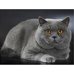 Серый Набор для алмазной живописи кота своими руками, включая сумку со стразами из смолы, алмазная липкая ручка, поднос тарелка и клей глина, серые, 400x300 мм