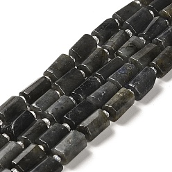 Larvikite Natural Larvikite Beads Strands, with Seed Beads, Faceted, Column, 8.5~11x5.5~6.5mm, Hole: 1mm, about 14~15pcs/strand, 7.48''(19cm)
