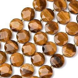 Тигровый глаз Природных тигровый глаз бисер нитей, плоско-круглые, граненый шестиугольный разрез, с бисером, 15~15.5x5 мм, отверстие : 1.2 мм, около 22 шт / нитка, 14.96'' (38 см)