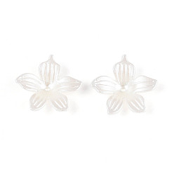 Белый 5-лепестковые бусины из АБС-пластика с имитацией жемчуга и акриловыми колпачками, цветок, белые, 20x21.5x5 мм, отверстие : 1.4 мм