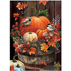 Colorful DIY Thanksgiving Day Pumpkin Pattern Diamond Painting Kits, including Resin Rhinestones, Diamond Sticky Pen, Tray Plate and Glue Clay, Colorful, 400x300mm