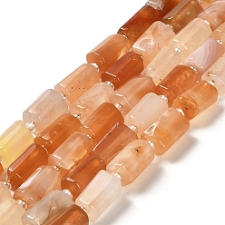 Botswana Agate Natural Botswana Agate Beads Strands, with Seed Beads, Faceted, Column, 8.5~11x5.5~6.5mm, Hole: 1mm, about 14~15pcs/strand, 7.48''(19cm)