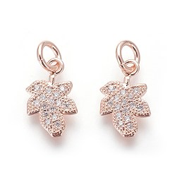 Розовое Золото Кулоны из экологически чистой латуни с микропаве и кубическим цирконием, без свинца и без кадмия, прозрачные, лист, розовое золото , 12x8x2 мм, отверстие : 3 мм