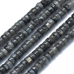 Larvikite Natural Larvikite Beads Strands, Flat Round/Disc, 3.8~4.2x2~4.5mm, Hole: 0.8~1mm, about 152~180pcs/strand, 15.1~15.5 inch(38.5~39.5cm)