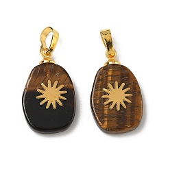Тигровый глаз Природных тигровый глаз подвески, плоские овальные подвески золотистого оттенка 304 солнечные пластины из нержавеющей стали и латунные застежки-кнопки, 19~20.5x12~12.3x3.5~4 мм, отверстие : 6x3 мм