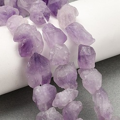 Аметист Природный аметист нитей бисера, самородки, 7~13x11~19 мм, отверстие : 1 мм, около 34~39 шт / нитка, 15.1 дюйм