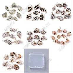 Doré  14pcs 7 styles pendentifs en coquillages mixtes naturels électroplaqués, breloques en forme de coquillage, avec les accessoires en laiton, or, or, 13~32x8.5~18x7~16mm, Trou: 1.4~1.8mm, 2 pcs / style