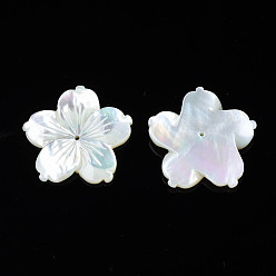 White Shell Natural White Shell Beads, Flower, 23.5~24x24.5~25x2~5mm, Hole: 1mm