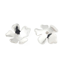 Посеребрённый Шапочки и конусы для бусин, латунные, 5-лепестков цветка, 925 серебро покрытием, 12.5x11.5x2.5 мм, отверстие : 1.4 мм