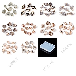 Couleur Mélangete 20pcs 10 styles pendentifs en coquillages mixtes naturels électroplaqués, breloques en forme de coquillage, avec les accessoires en laiton, or, couleur mixte, 15~32x8.5~18x7~16mm, Trou: 1.4~1.8mm, 2 pcs / style