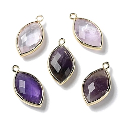 Amethyst Natural Amethyst Pendants, with Platinum Brass Edge, Faceted, Horse Eye, 22x12x5.5mm, Hole: 1.8mm