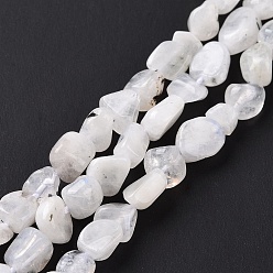 Rainbow Moonstone Natural Rainbow Moonstone Beads Strands, Nuggets, 6~10.5x6~7.5x4~5mm, Hole: 0.8mm, about 50~55pcs/strand, 15.94''(40.5cm)