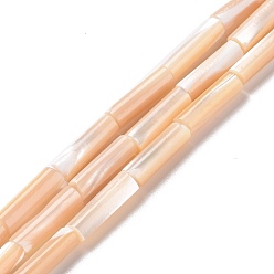 Сэнди Коричневый Природные trochid стеклянные бусы нити, колонка, песчаный коричневый, 11.5~14x4 мм, отверстие : 0.6 мм, около 28~29 шт / нитка, 15.55~15.67 дюйм (39.5~39.8 см)