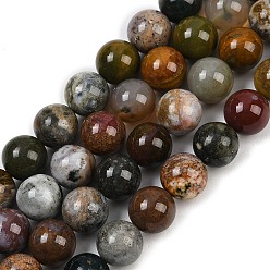 Океанический Джаспер Натуральный океанский агат, круглые, 10 мм, отверстие : 1 мм, около 37 шт / нитка, 15.35 дюйм (39 см)