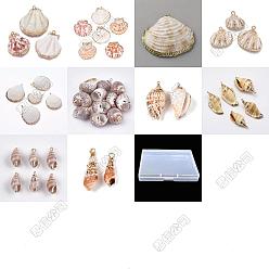 Golden 20Pcs 10 Styles Electroplated Natural Mixed Shell Pendants, Shell Shape Charms, with Metel Findings, Mixed Color, Golden, 15~53x8~52x4~21mm, Hole: 1.2~2.5mm, 2pcs/style
