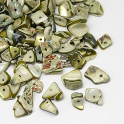 Olive Dyed Natural Freshwater Shell Chips Beads, Shell Shards, Olive, 9~12x6~15mm, Hole: 1mm, about 900pcs/500g