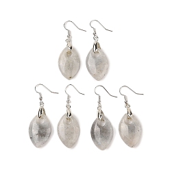 Лабрадорита Натуральный лабрадорита болтаться серьги, с латунными крючками для сережек, без свинца и без кадмия, лист, 50x18 мм