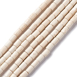 Creamy White Synthetic Turquoise Beads Strands, Dyed, Column, Creamy White, 6x4mm, Hole: 1mm, about 64pcs/strand, 15.5 inch